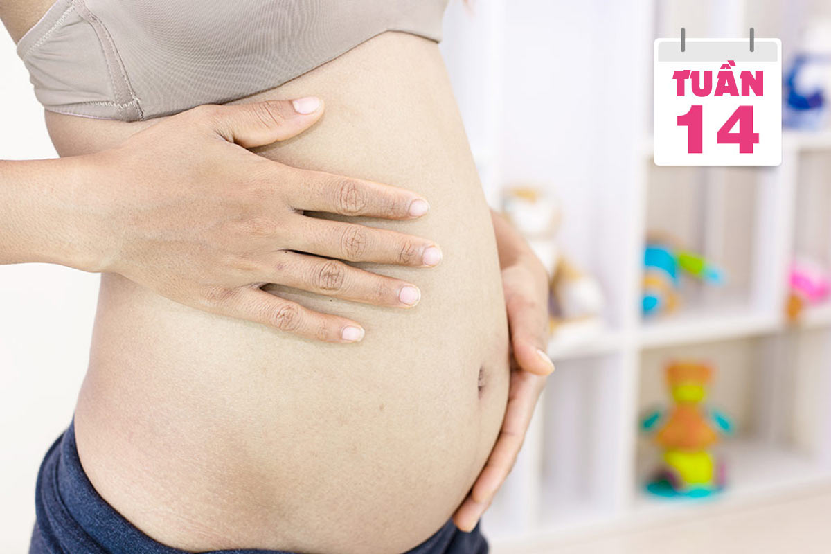 Chăm sóc thai 3 tháng đầu - Cẩm nang bà bầu 3 tháng đầu Kiến Thức ...