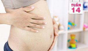 Chăm sóc thai 3 tháng đầu – Cẩm nang bà bầu 3 tháng đầu