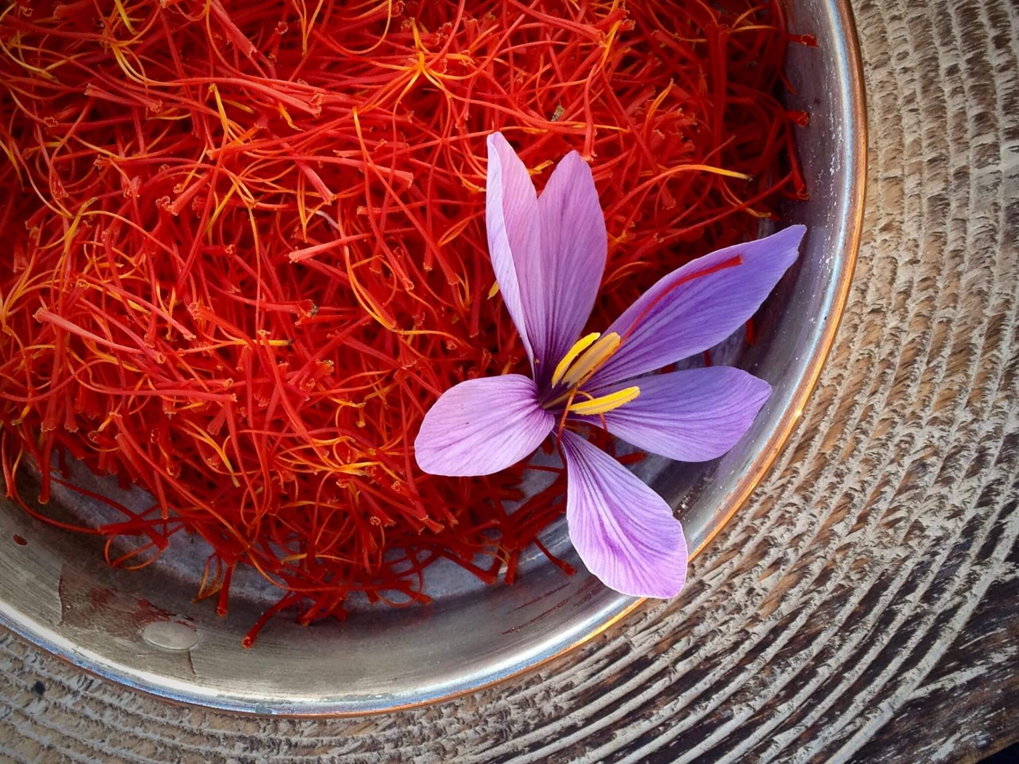 Thu hoạch saffron